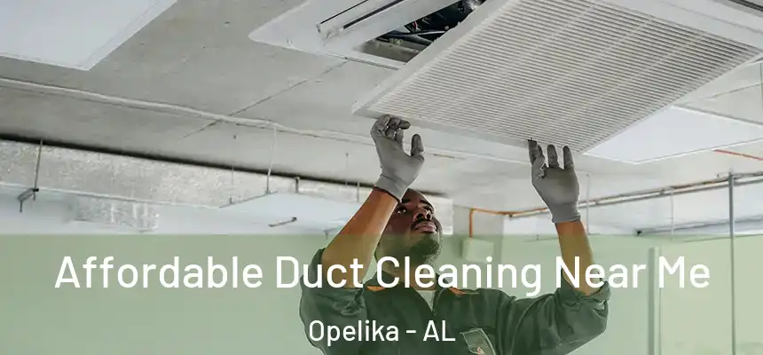  Affordable Duct Cleaning Near Me Opelika - AL