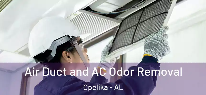 Air Duct and AC Odor Removal Opelika - AL