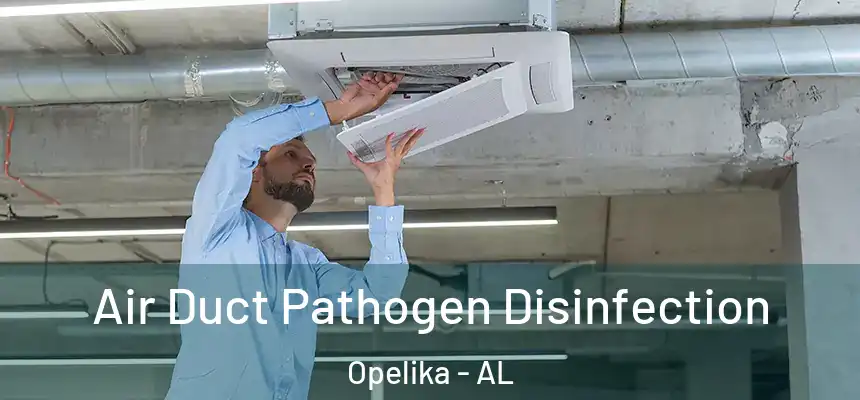  Air Duct Pathogen Disinfection Opelika - AL