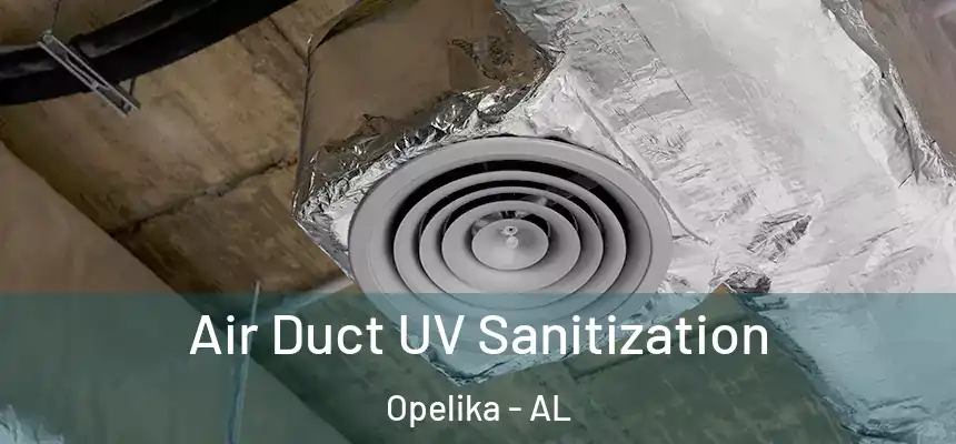  Air Duct UV Sanitization Opelika - AL