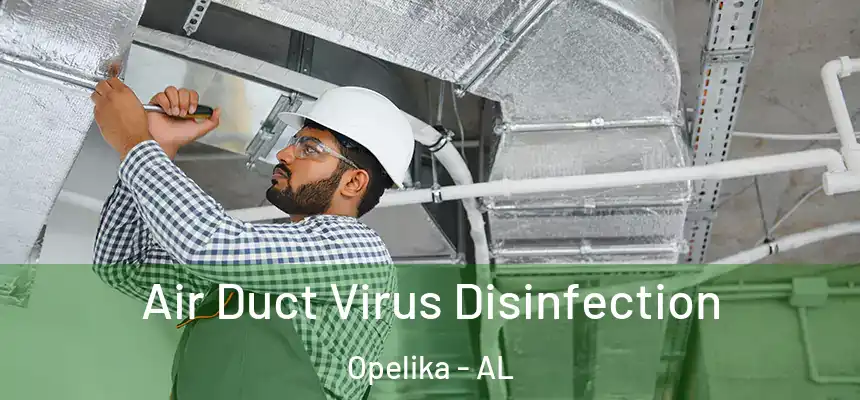  Air Duct Virus Disinfection Opelika - AL