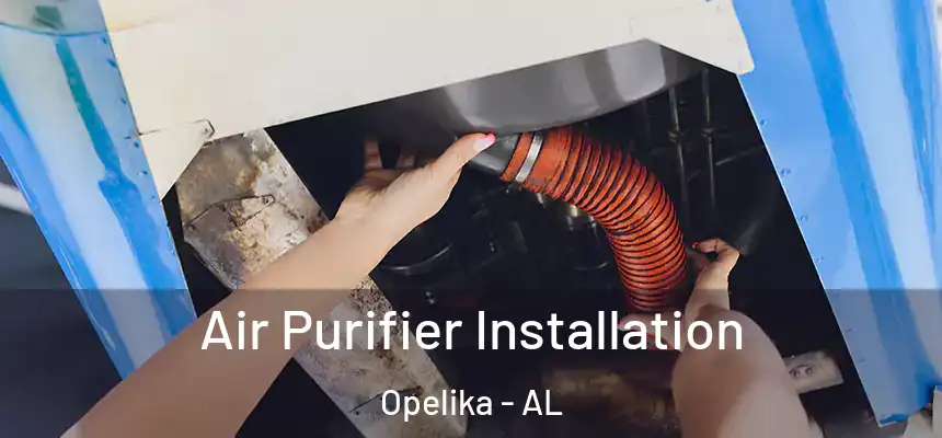  Air Purifier Installation Opelika - AL