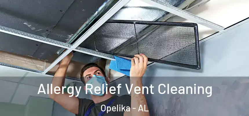  Allergy Relief Vent Cleaning Opelika - AL