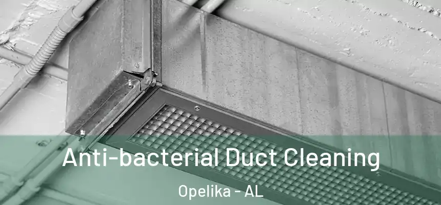  Anti-bacterial Duct Cleaning Opelika - AL