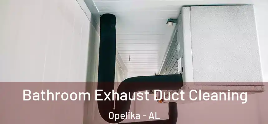  Bathroom Exhaust Duct Cleaning Opelika - AL
