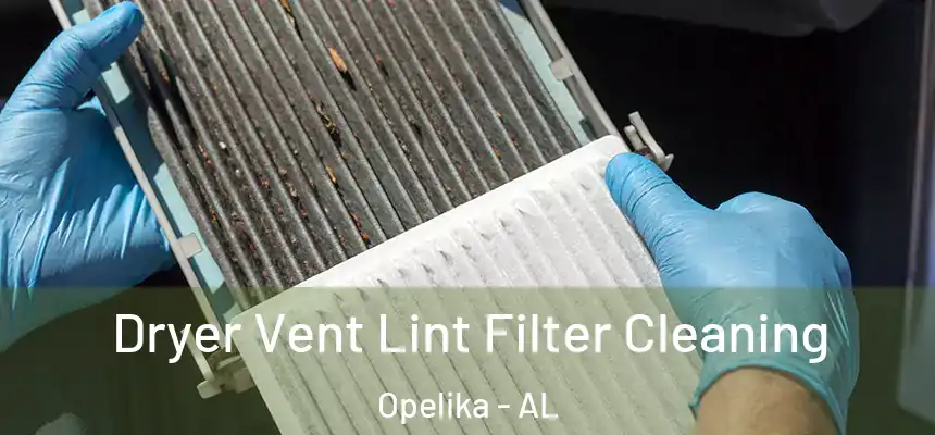  Dryer Vent Lint Filter Cleaning Opelika - AL