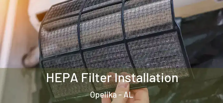  HEPA Filter Installation Opelika - AL