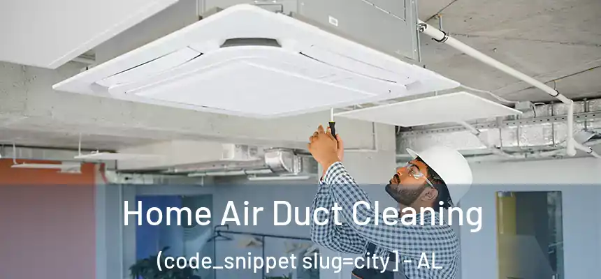  Home Air Duct Cleaning (code_snippet slug=city] - AL