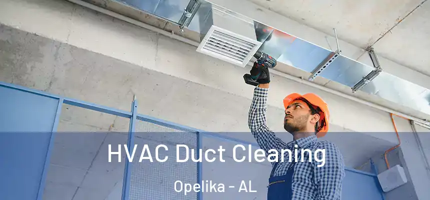  HVAC Duct Cleaning Opelika - AL