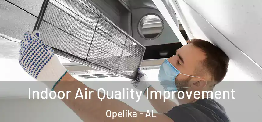  Indoor Air Quality Improvement Opelika - AL