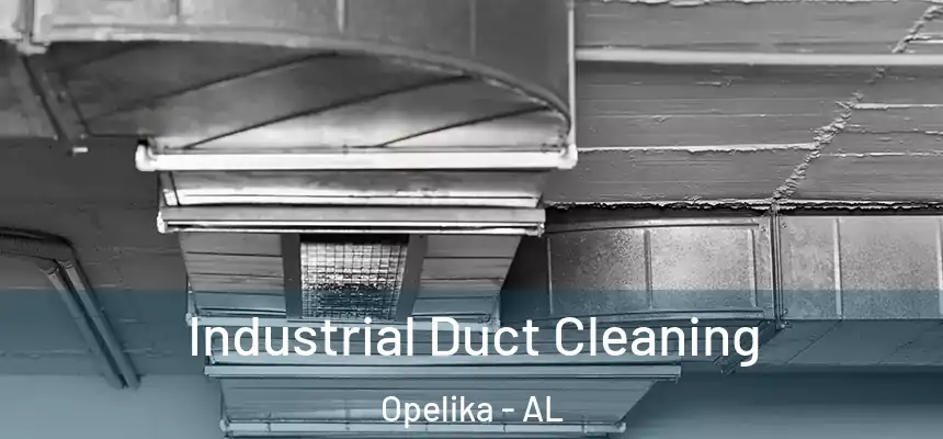  Industrial Duct Cleaning Opelika - AL