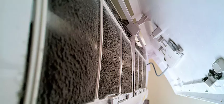 Preventive Air Duct Bacteria Removal in Opelika