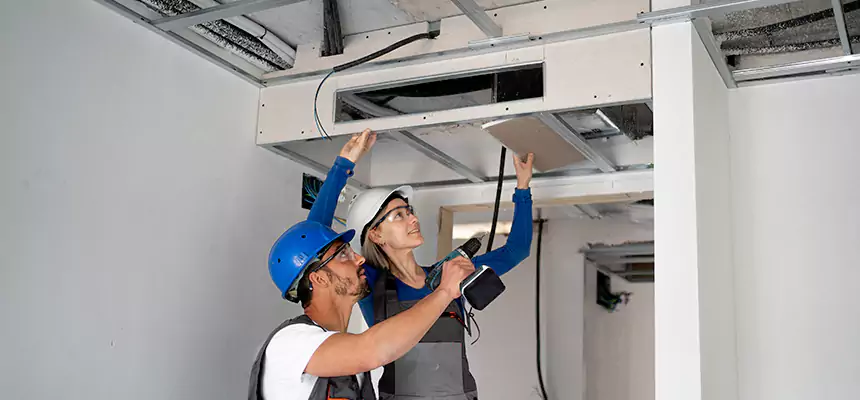 Our Air Duct Virus Disinfection Services in Opelika, AL