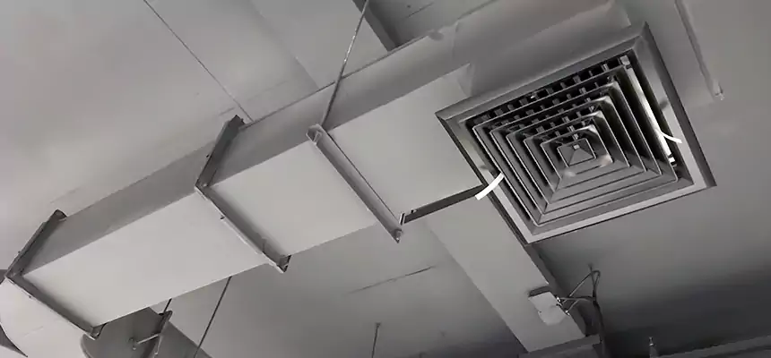 Restorative Allergy Relief Vent Cleaning – Coil, Blower & Housing Detail in Opelika