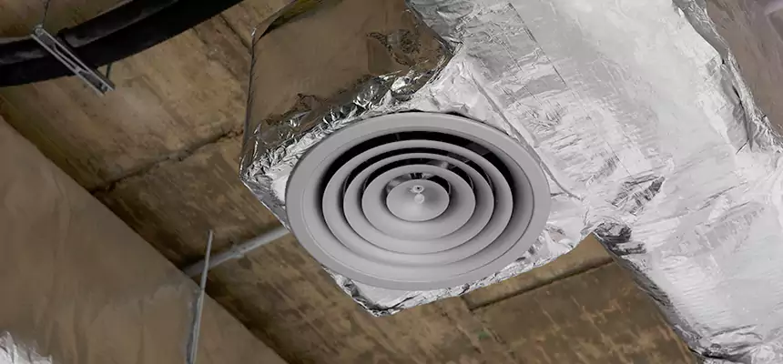 Our Excess Lint Removal from Dryer Ducts Services in Opelika, AL