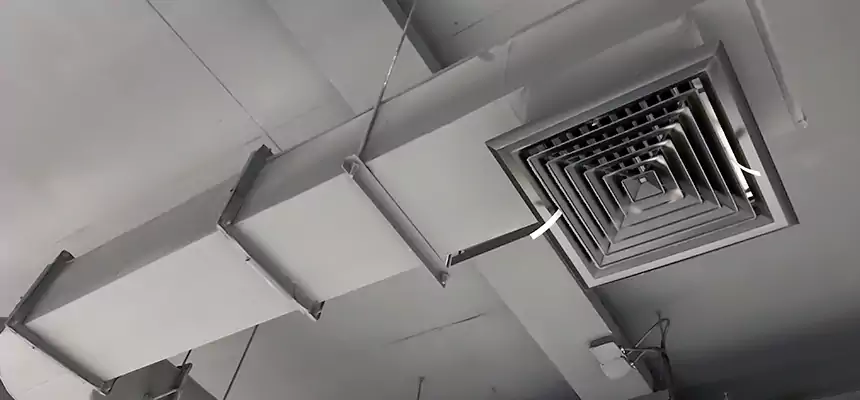 Our Pest Removal From Ducts Services in Opelika, AL