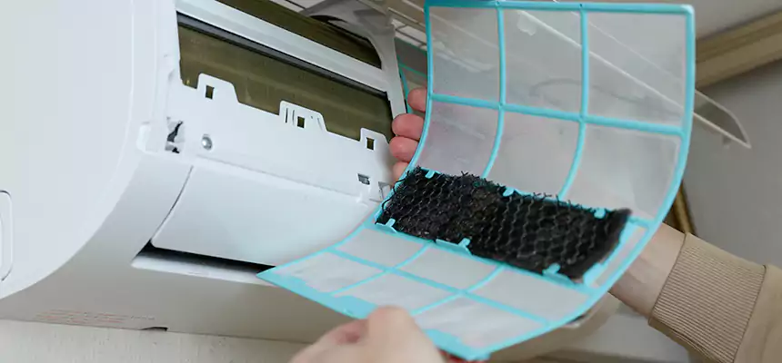 Gentle Ductwork Odor-Control Pet Dander Duct Cleaning in Opelika, AL