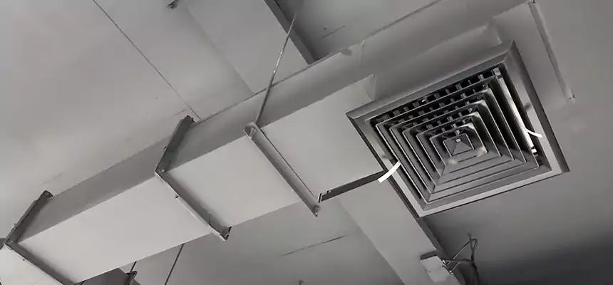 Our Rodent Droppings In Vents Services in Opelika, AL