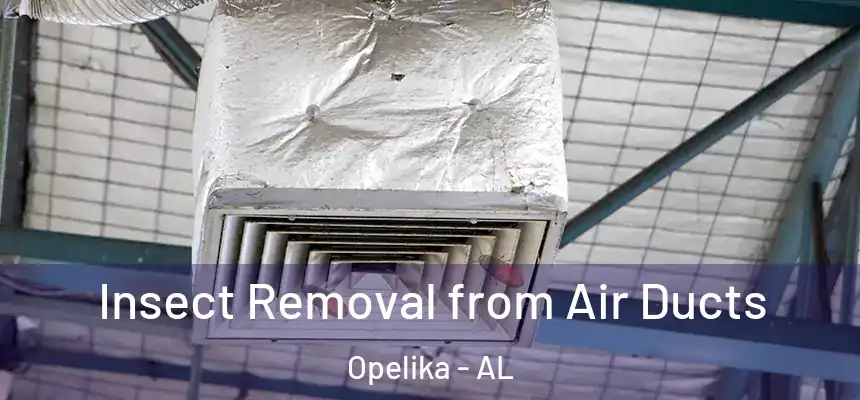  Insect Removal from Air Ducts Opelika - AL