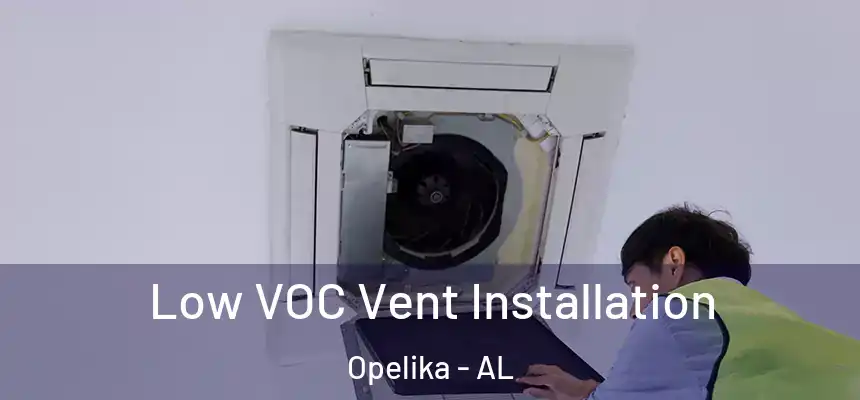  Low VOC Vent Installation Opelika - AL