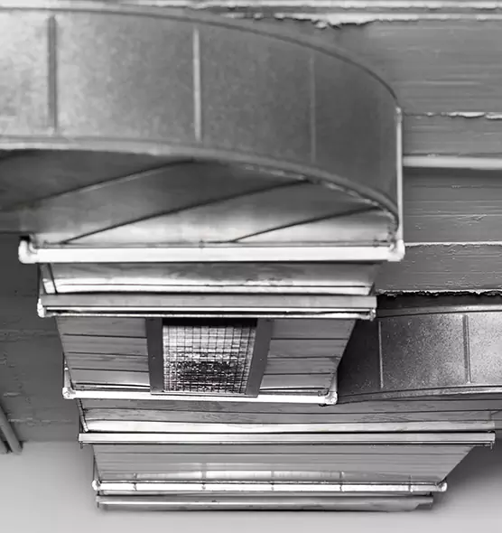 Professional Air Duct Pest Removal in Opelika, AL