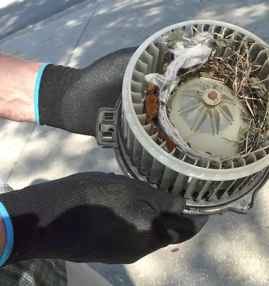 About Air Duct Rat Removal in Opelika, AL