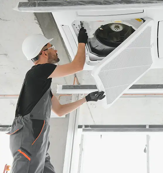 About Air Duct Rodent Removal in Opelika, AL