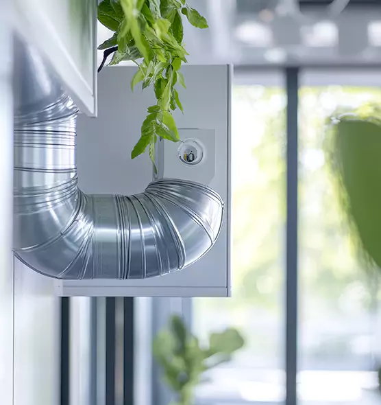 Professional Eco-Safe Dryer Vent Cleaning in Opelika, AL