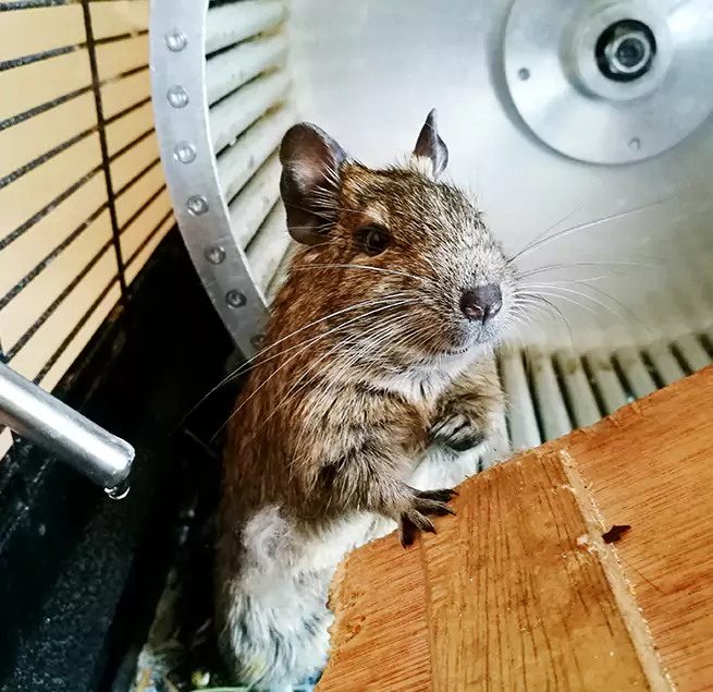 Why Homeowners & Businesses Trust Us Opelika, AL?