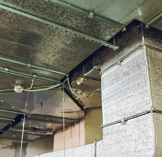 Why Homeowners & Businesses Trust Us in Opelika, AL?