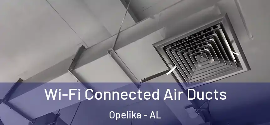  Wi-Fi Connected Air Ducts Opelika - AL